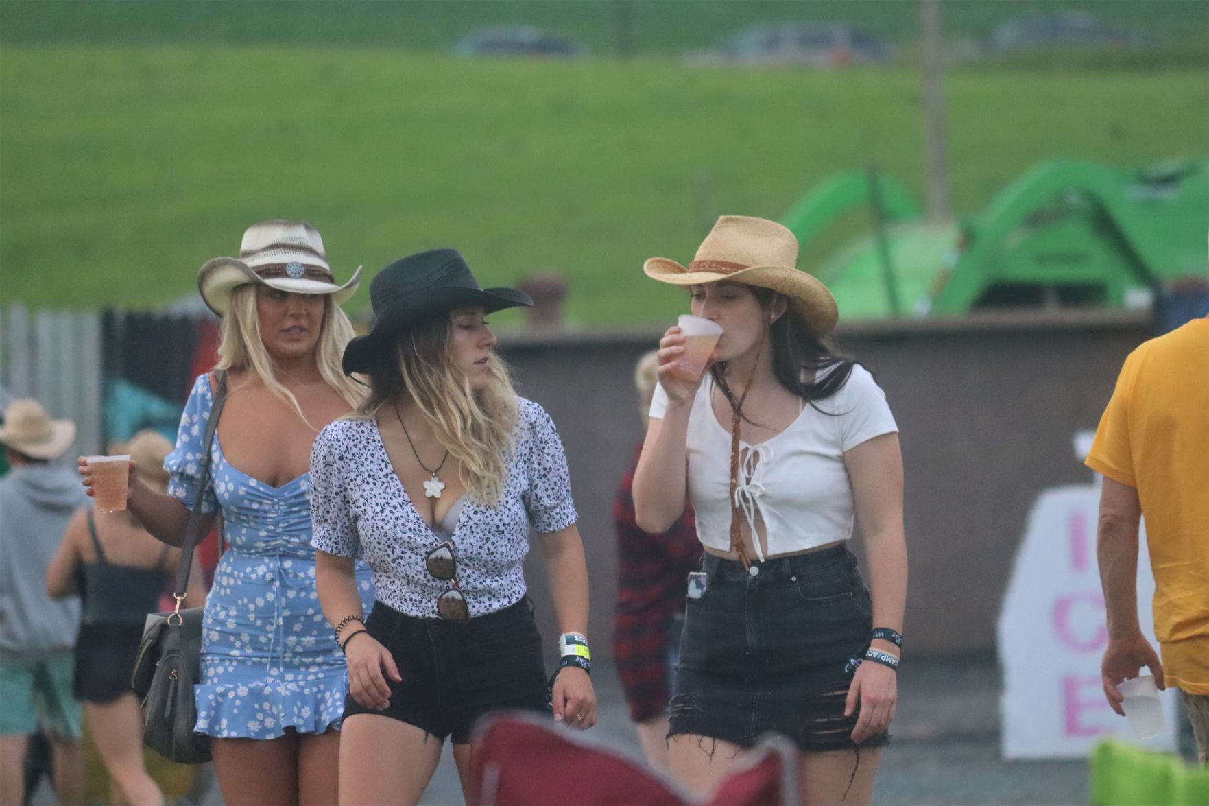 Country Fest fans